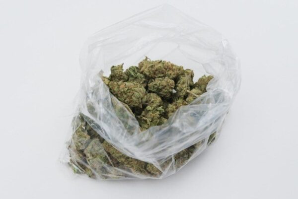 cloud cannibas
